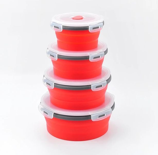 Collapsable Bowls Silicone Food Storage - Set of 4
