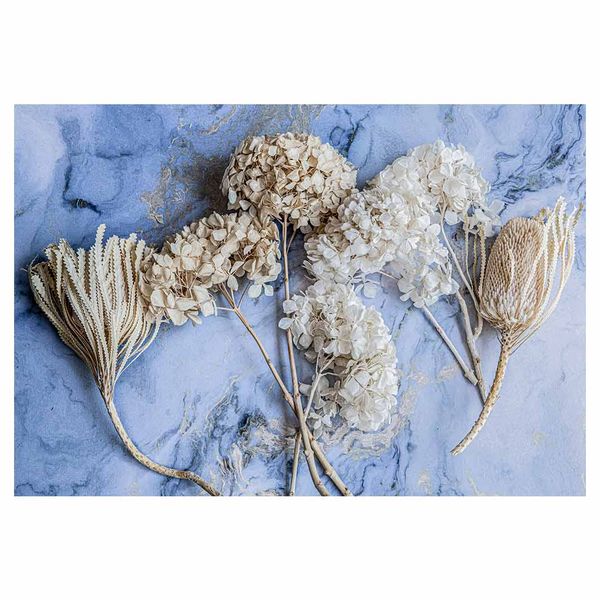 Cape Art - Vinyl Felt Placemat - Cream Bleached Hydrangeas (Pack of 6)