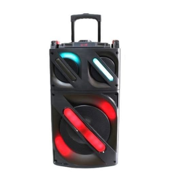 Wireless Outdoor 12" Bluetooth Party Speaker