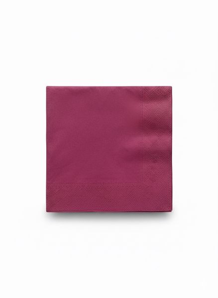 Premium 2-Ply 33cm x 33cm Serviettes - Soft, Absorbent Napkins (100 Pack)