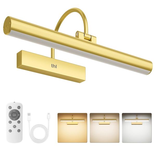 thl Picture Light with Remote, Rechargeable Battery Wall Light for Painting
