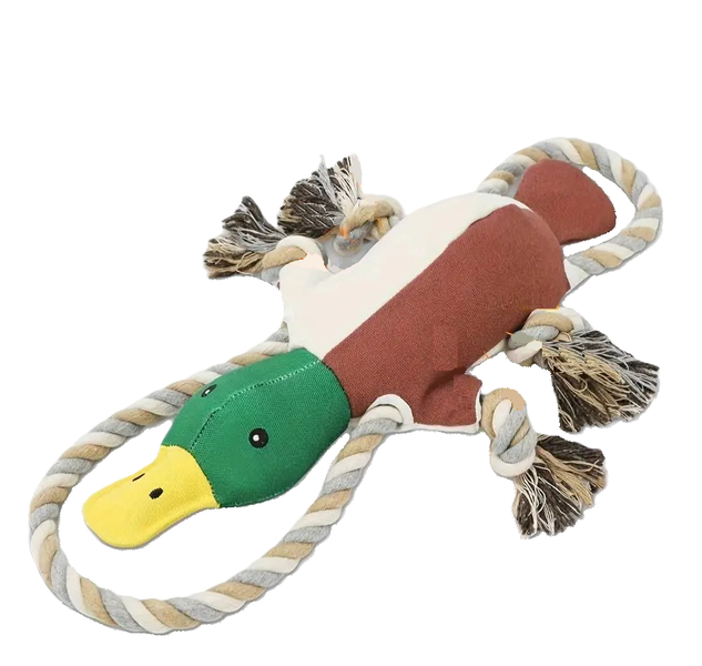 Duck image