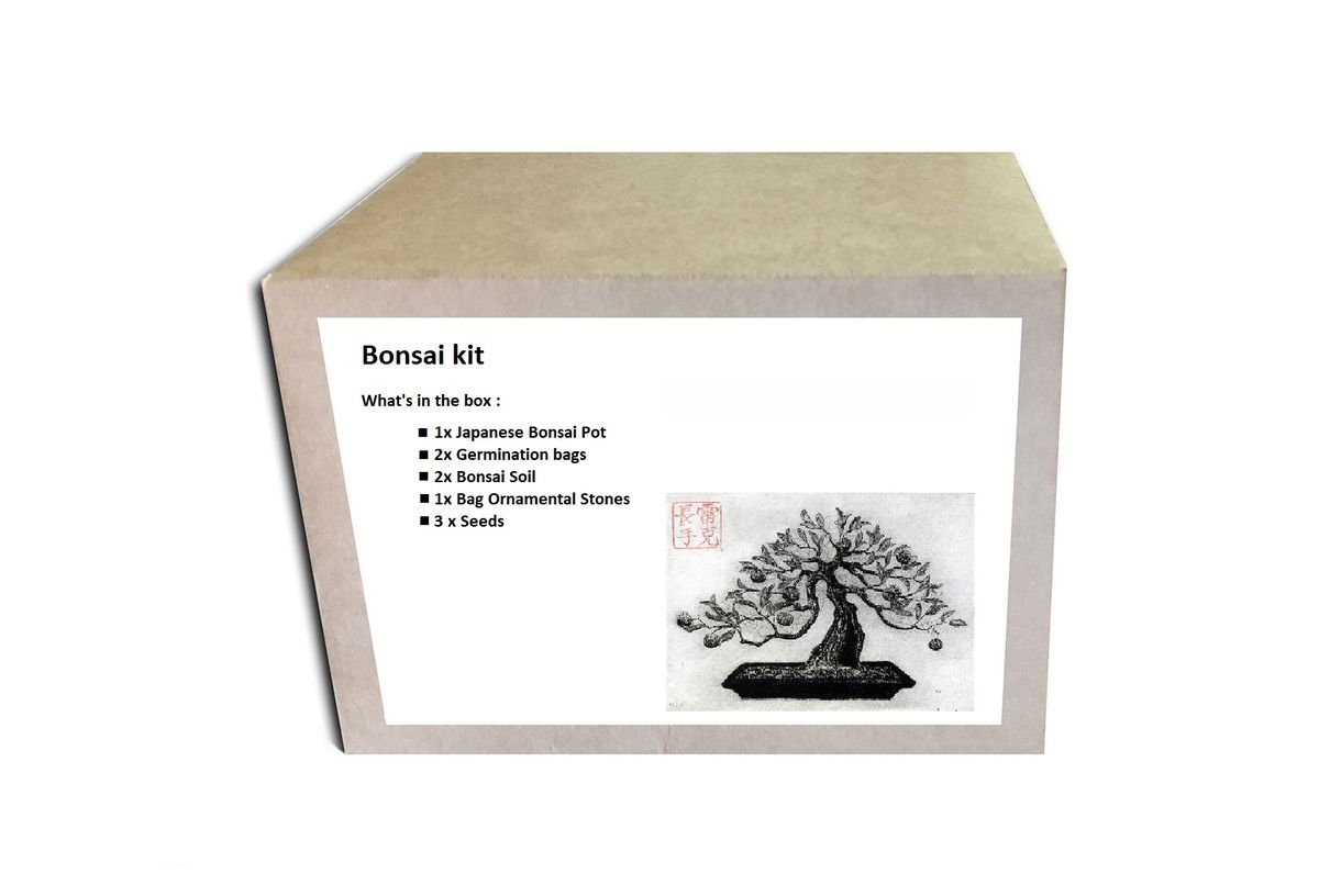 Bonsai Starter Kit Trident Maple Shop Today. Get it Tomorrow