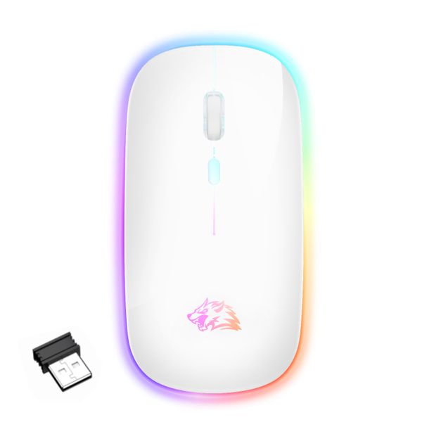 X15 Ergonomic LED Backlit Wireless 2.4G/Bluetooth Gaming Mouse Silent