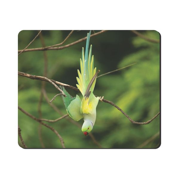 Mouse Pad - Beautiful Ringneck Parakeet