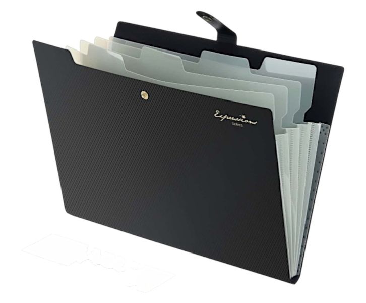 Expandable 5 Pocket Document File