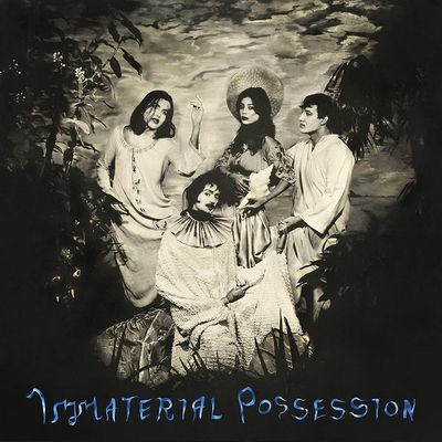Immaterial Possession (Vinyl / 12" Album)