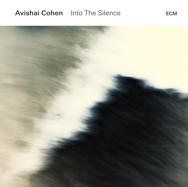 Vinyl / 12" Album image