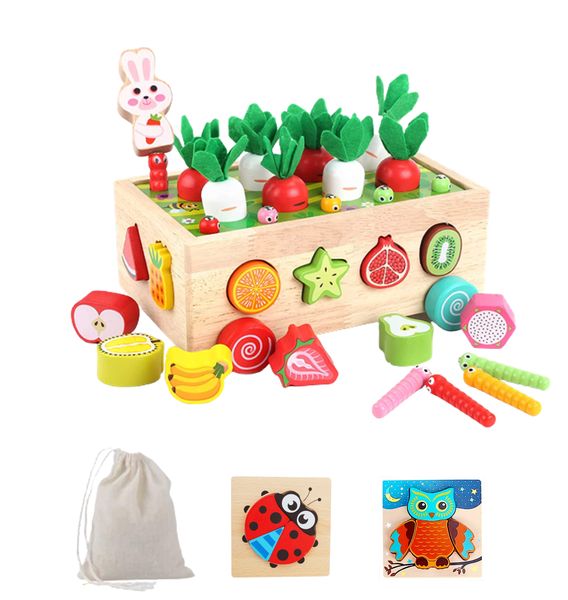 Toddlers Montessori Wooden Educational Toy Set, Fine Motor Skills Toys