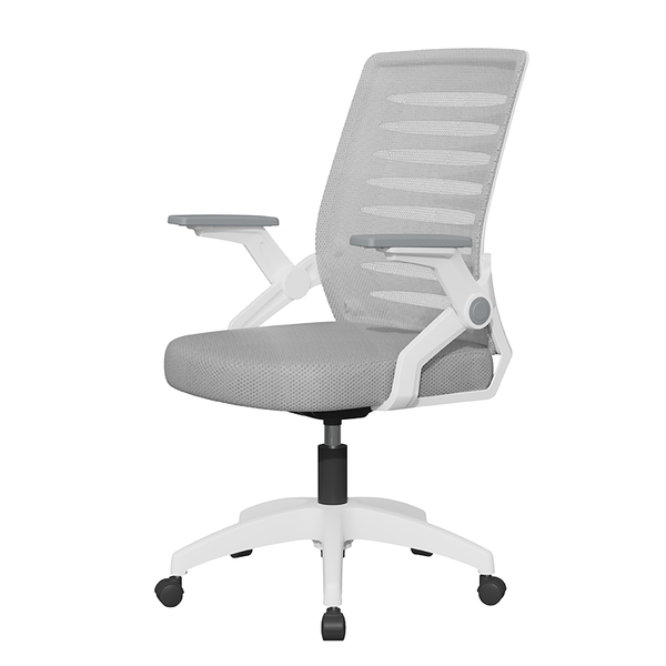 Deli S-Curve Ergonomic Backrest Office Chair