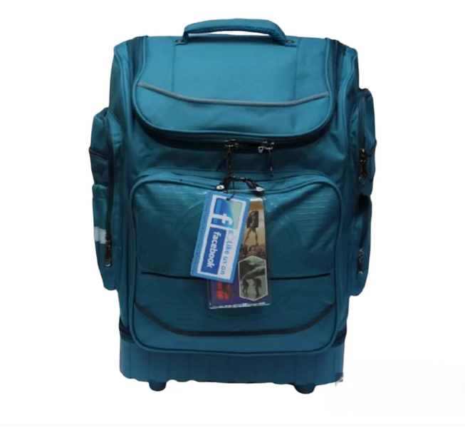 Hard Base 2-Wheel School Trolley Backpacks