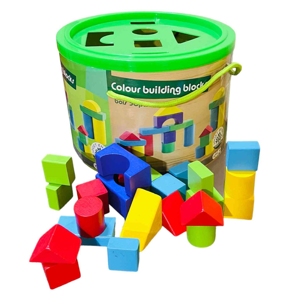Wooden Blocks 50 Pieces + Sorter