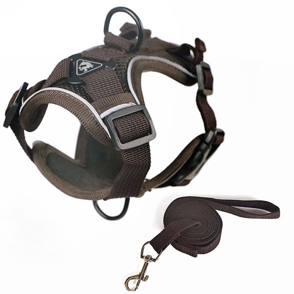 Premium Pet Harness with Leash Set