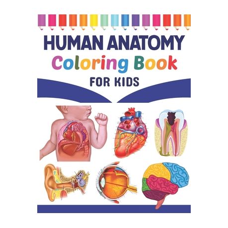 Download Human Anatomy Coloring Book For Kids Fun And Easy Human Anatomy Coloring Book For Kids Human Anatomy And Human Body Coloring Book Brain Heart Lung Buy Online In South Africa