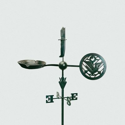 Weathervanes (Vinyl / 12" Album)