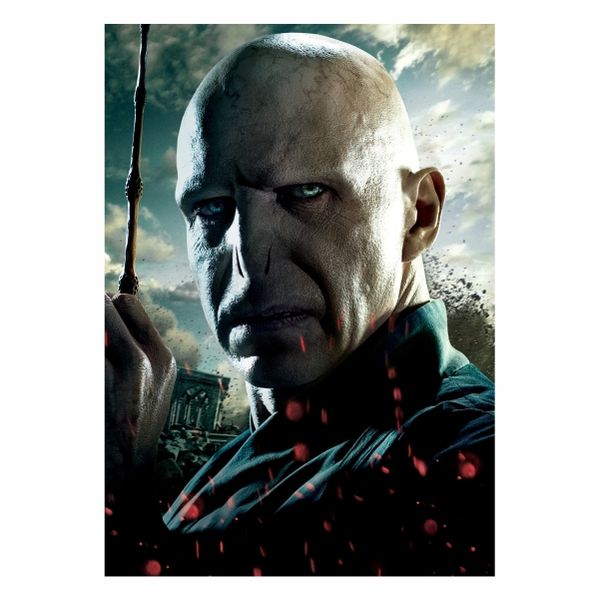 Lord Voldemort Portrait-A1 Poster