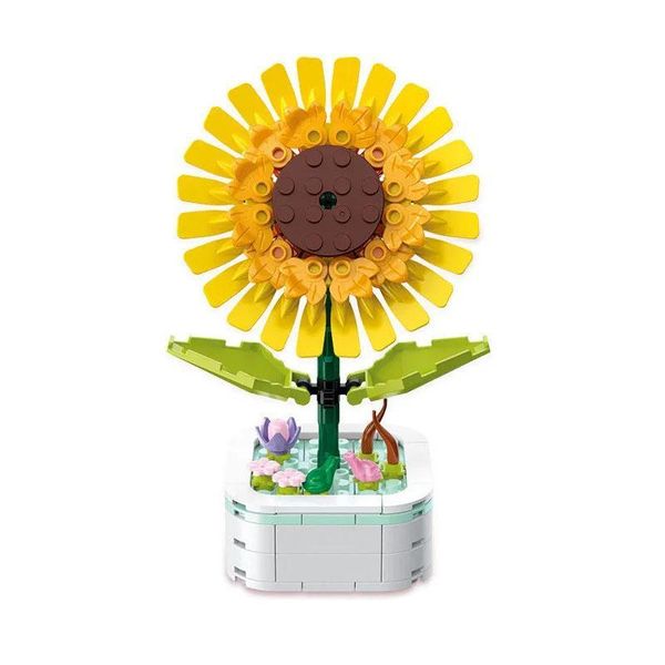 Snowaurora Sunflower Compositae