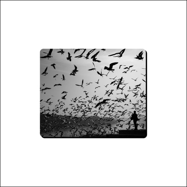 Mouse Pad - Black Birdsdagedon