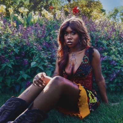 Why Does the Earth Give Us People to Love? (Vinyl / 12" Album)