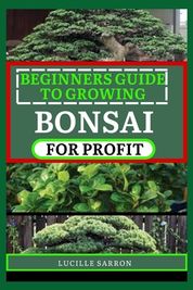 Beginners Guide To Bonsai For Profit From Root To Canopy A Deep Dive Into The Aesthetics