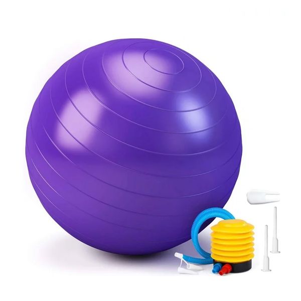 Yoga Ball Exercise Ball Set Anti-Burst &amp; Non-Slip Fitness Ball for Home Gym