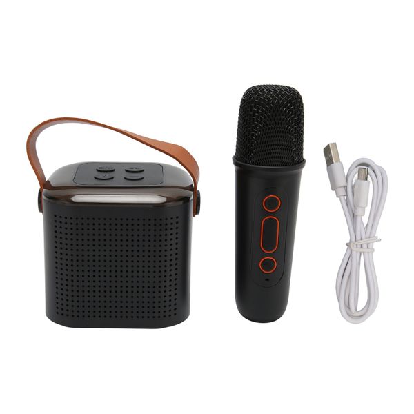 Karaoke Machine Stereo RGB Light Bluetooth Speaker with Microphone Black