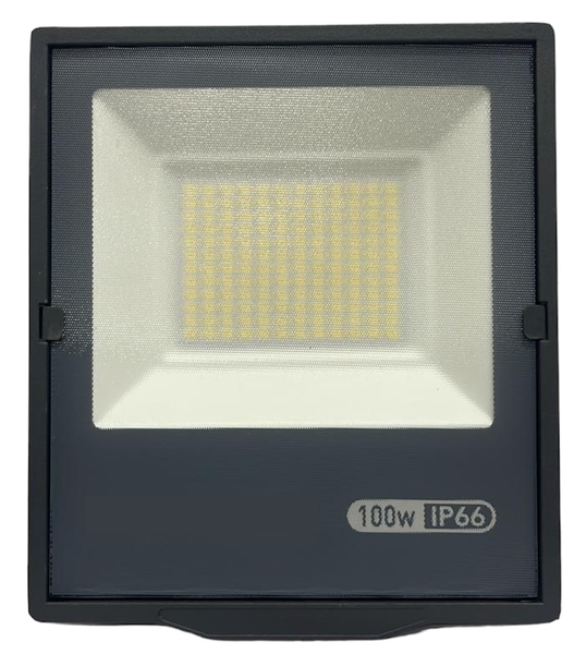 100w Waterproof High Power LED Floodlight