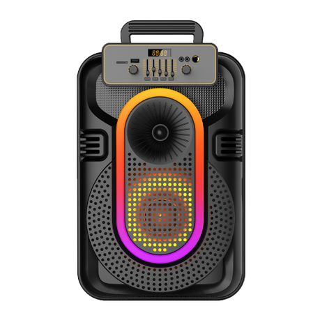 HAMASTON 10" Outdoor Portable Handle Wireless Microphone Bluetooth Speaker Image
