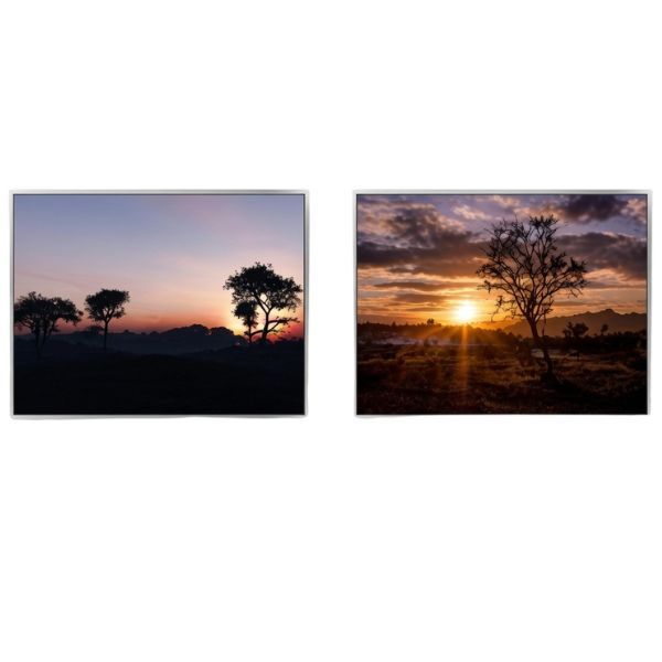 2 Piece 50X70Cm Sunset Tree Landscape Framed Can image