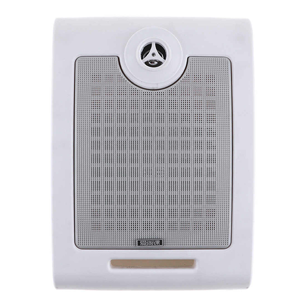 Wall Mounted Ceiling Speakers INT-PASWS