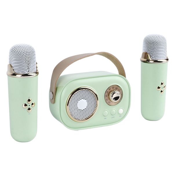 Karaoke Machine, 2 Mics, Portable