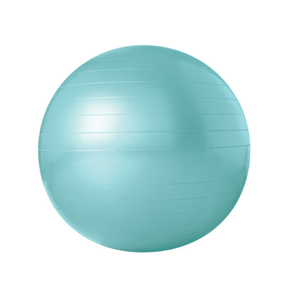 Gym Body Ball Anti-Burst Fitness Ball Trojan 55cm