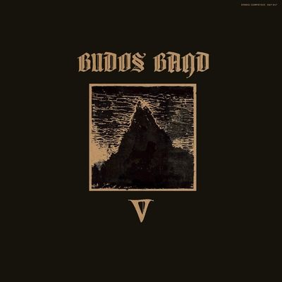 V (Vinyl / 12" Album)