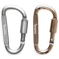 12 Pcs Small Carabiner Clip - Stainless Steel Spring Snap Hook for Bir –  DELSWIN