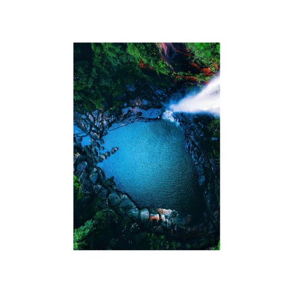 Paradise Life - A1 poster