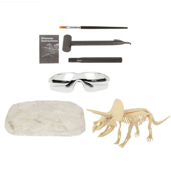 Olive Tree-Dinosaur Fossil Archaeology Paleontology Educational-Triceratops