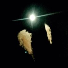 Forever (Vinyl / 12" Album)