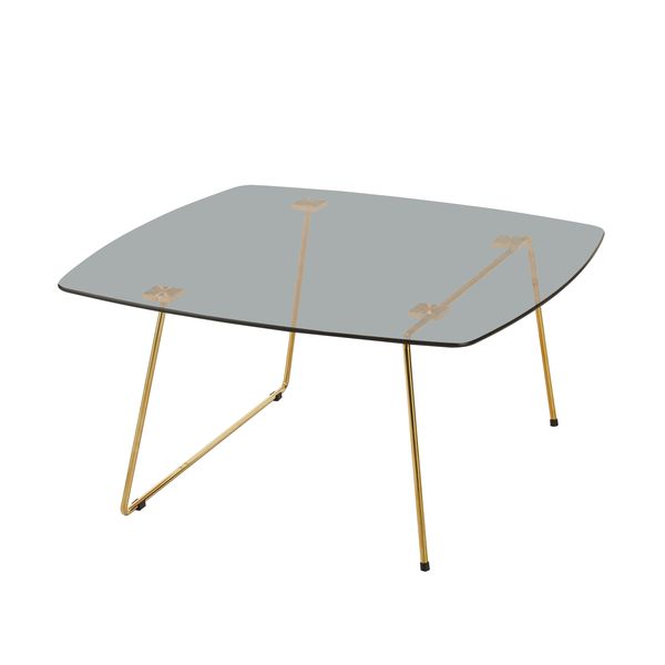 Luckin Elegant Minimalist Coffee Table with Gold Accents - Grey, Gold