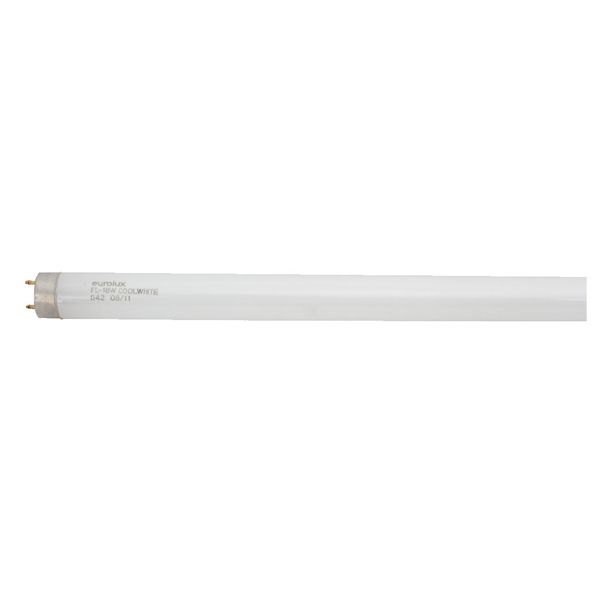 Eurolux - T8 Fluorescent G13 18w Cool White (60cm)