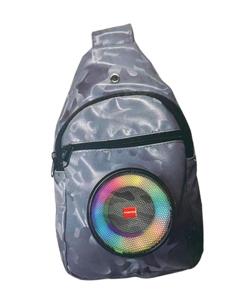 Portable Speaker Bag CH-7583 - Grey