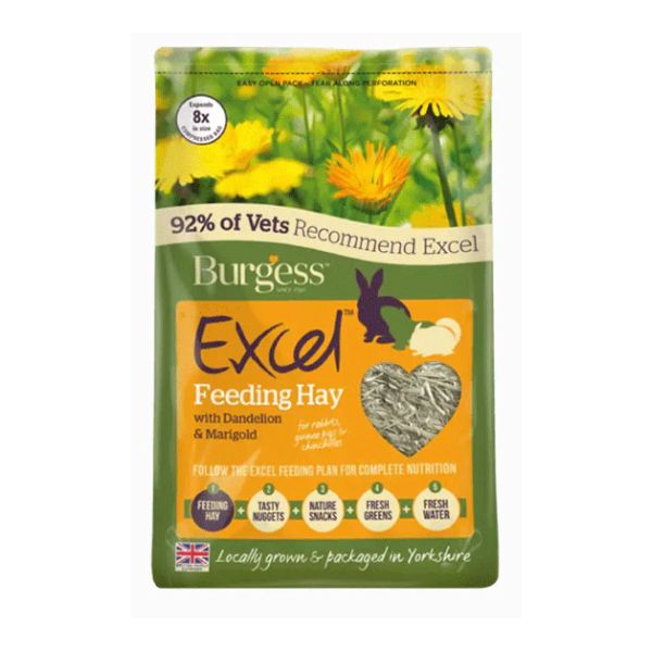 Excel Feeding Hay Dried Fresh Grass 1kg