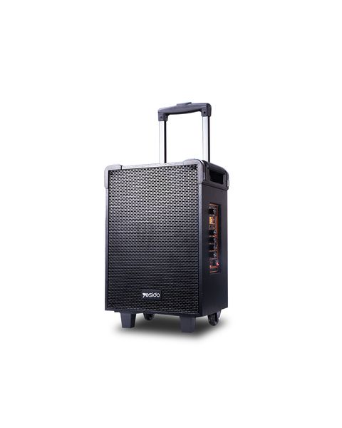 PiTeck-Outdoor Bluetooth Wireless Speaker with 2 Microphones for Karaoke