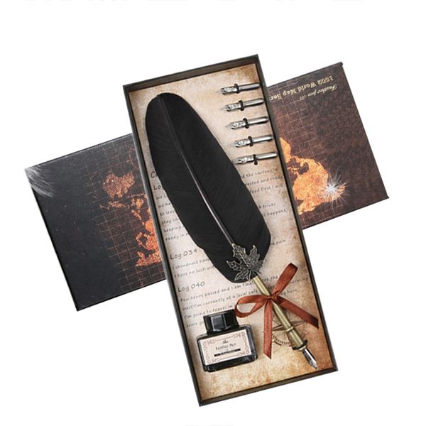 Classic writing gift box feather fountain pen with ink set and 5 nibs