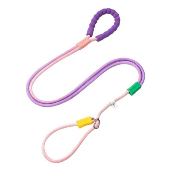 Adjustable Slip Lead Dog Leash for Training Walking Small Medium Large Dogs
