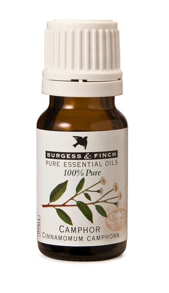 Burgess &amp; Finch Camphor Oil 10ml