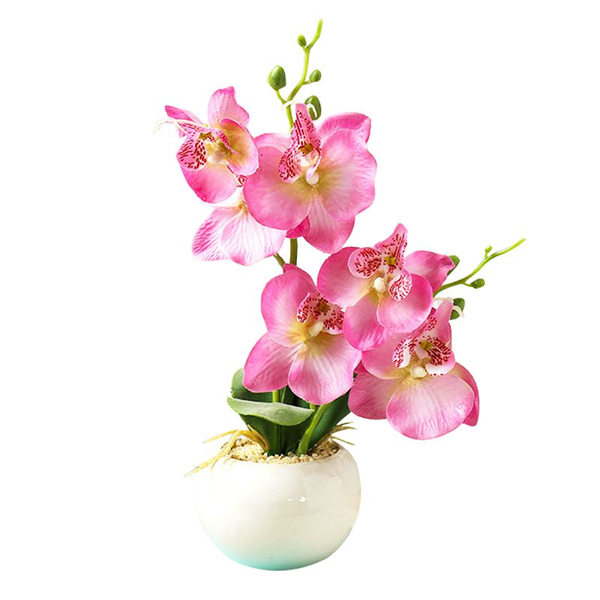 Artificial Orchid 6 Heads