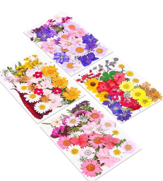 140PCS Dried Pressed Flowers for Resin And DIY Art Crafts, Real Pressed