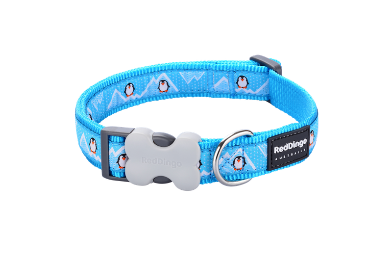 Red Dingo Design Collar - Penguin Turquoise