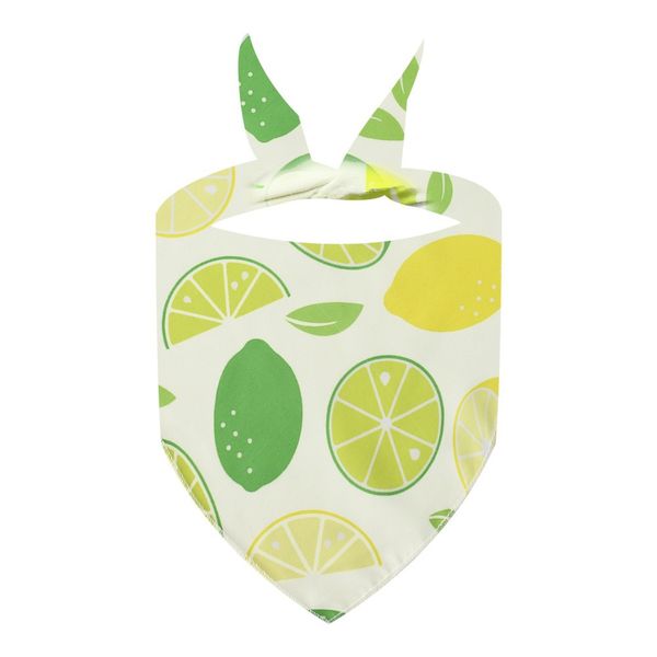 Zesty Lemon &amp; Lime Pet Bandana - Fresh &amp; Fun Dog Cat Scarf - Summer Style