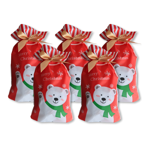 5pcs Christmas Gift Bags with Gold Drawstring Red Santa HoHoHo
